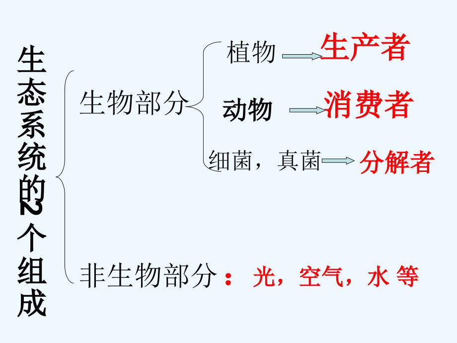 生物人教版七年级上册生物与环境组成生态系统.ppt生态系统组成_第3页