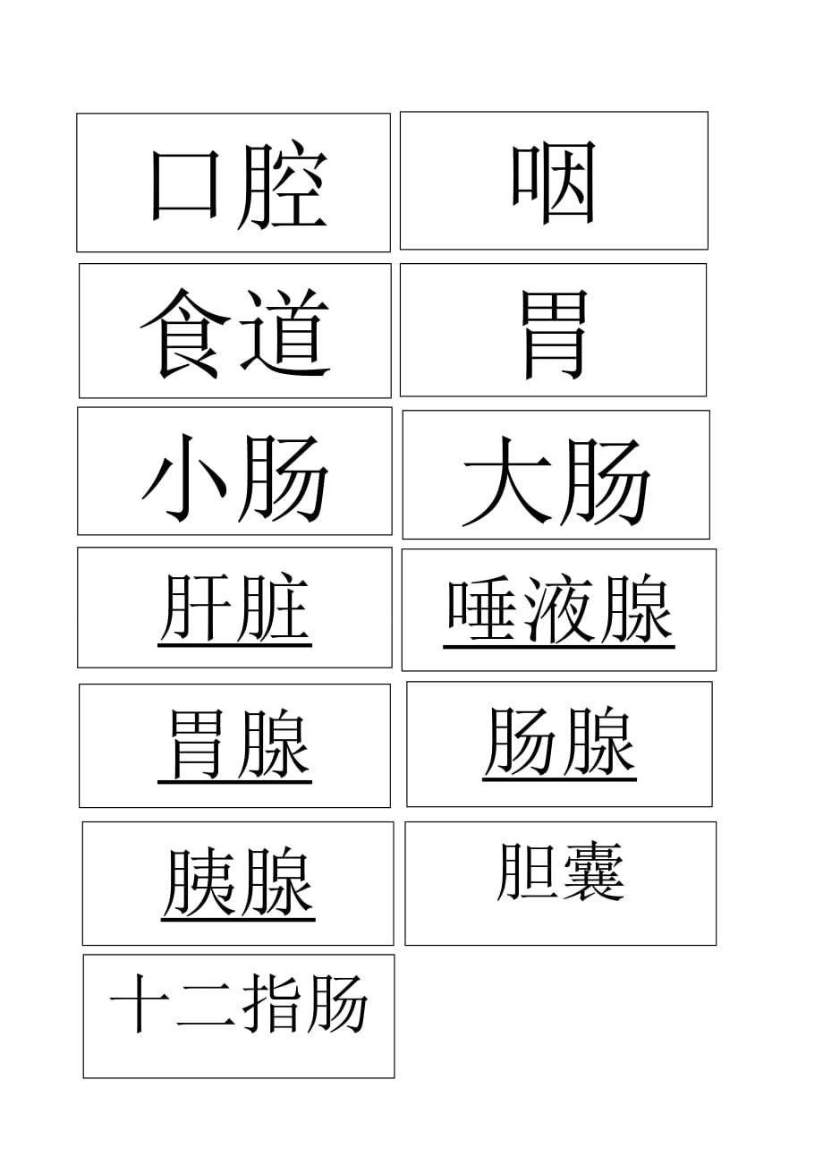 生物人教版七年级下册消化系统贴牌游戏材料_第1页