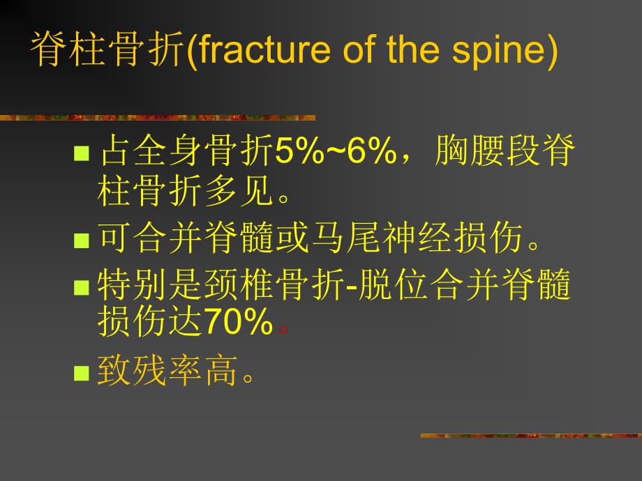 外科12脊柱与骨盆骨折_第3页