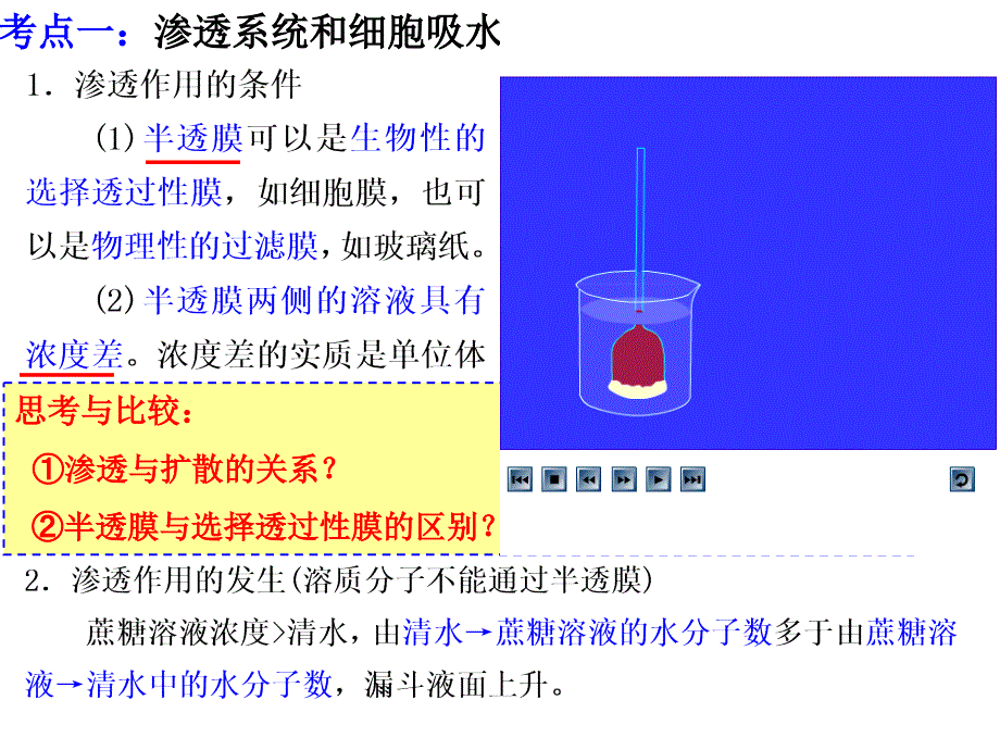 高三一轮复习物质跨膜运输的方式和实例资料_第3页