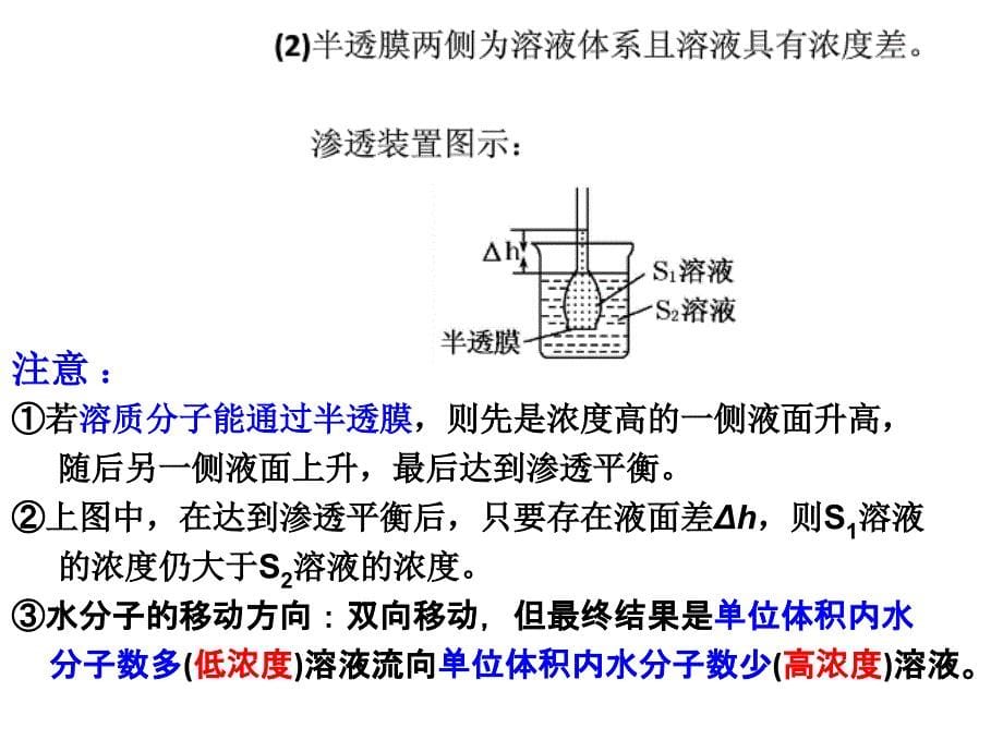 高三一轮复习物质跨膜运输的方式和实例资料_第5页