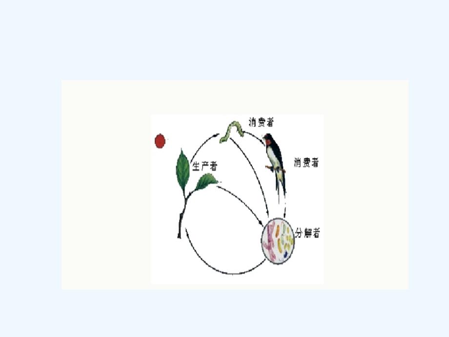 生物人教版七年级上册生物与环境组成生态系统.2.2《生物与环境组成生态系统》ppt课件（1）_第4页