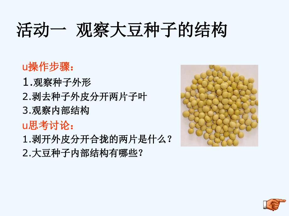 生物人教版七年级上册种子植物.11改教版（晚修）(2)_第3页