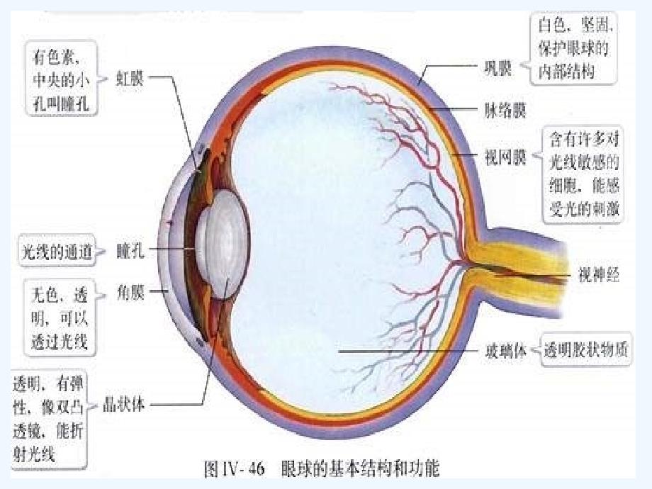 生物人教版七年级上册人与环境.pptkj.net]_第3页