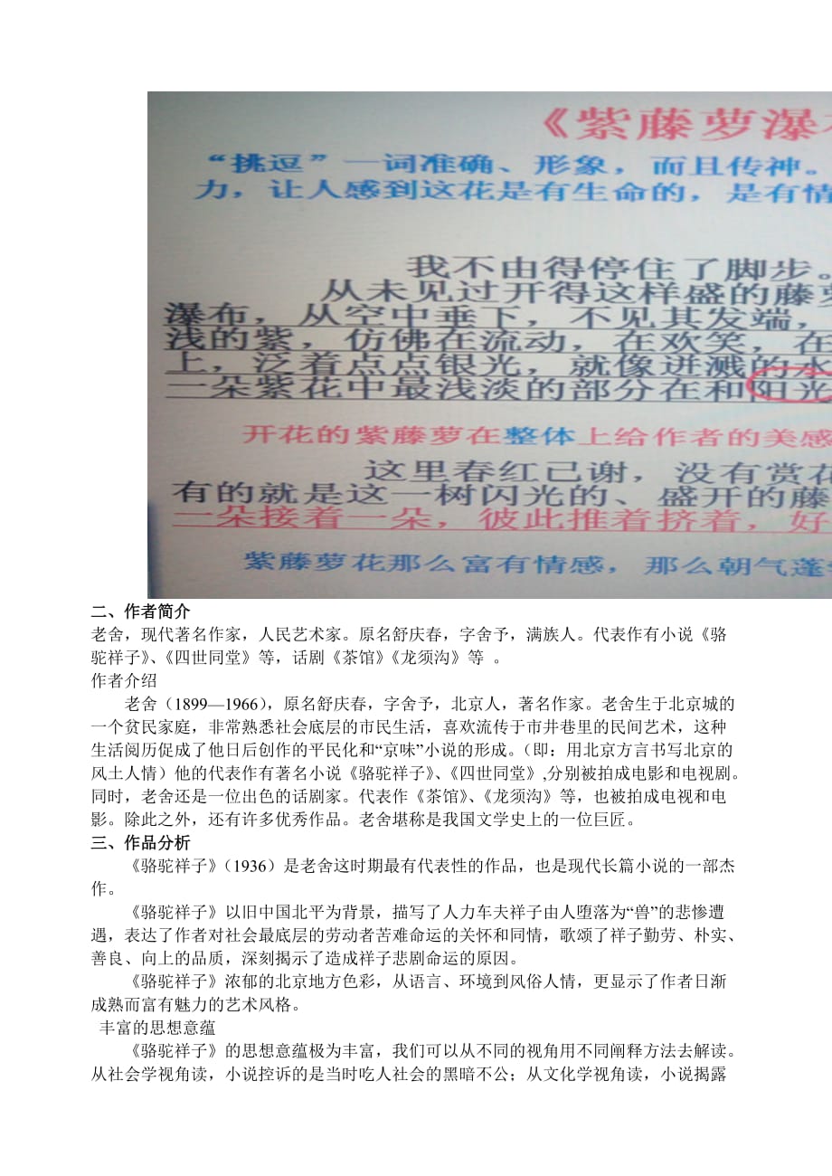 下语文教案导学案名著阅读《骆驼祥子》——圈点与批注配套教案_第3页