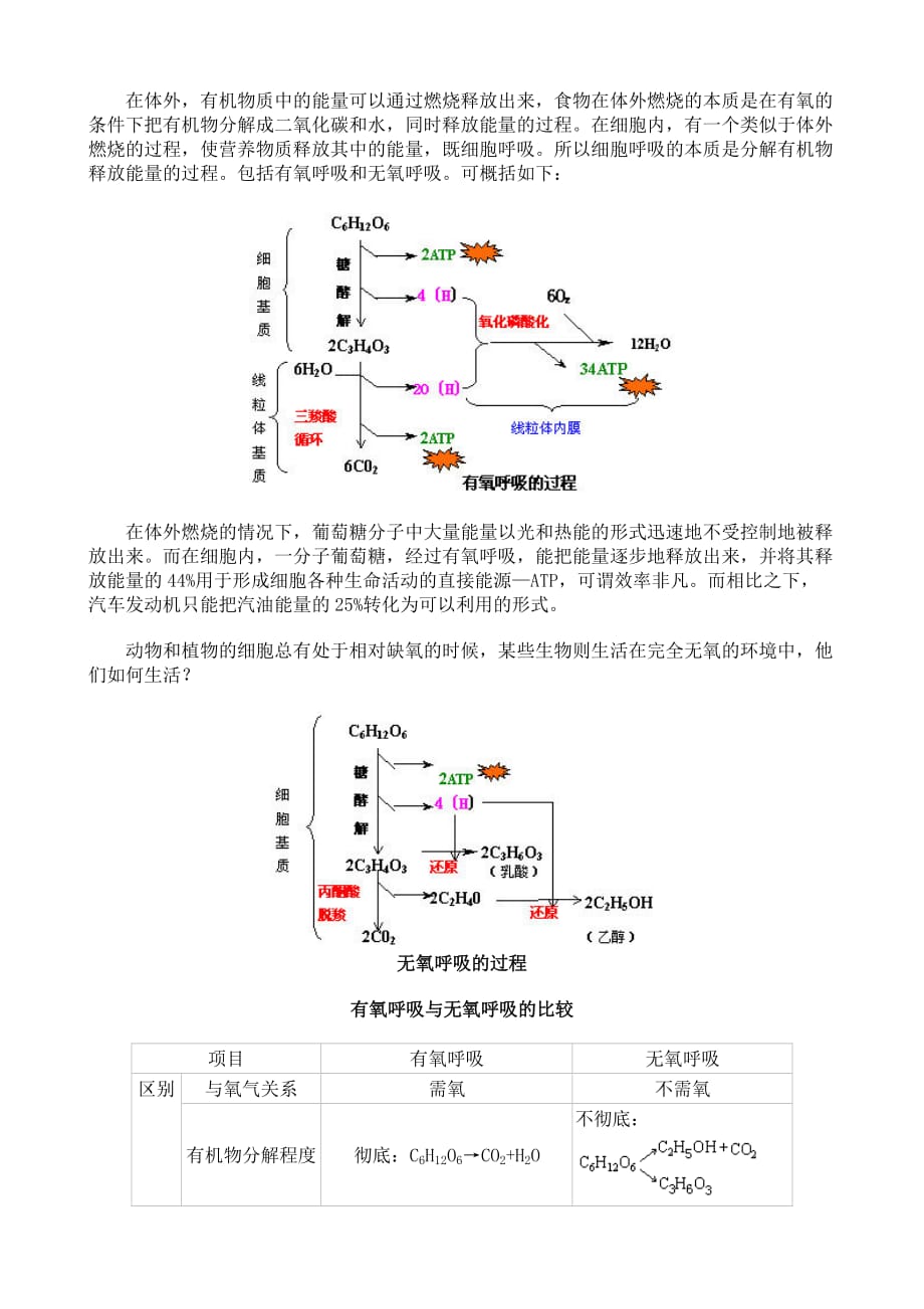 生物人教版七年级上册生物的新陈代谢-光合作用_第3页