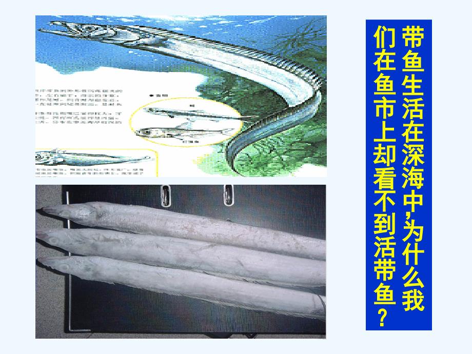 物理人教版八年级下册液体压强ppt课件_第2页