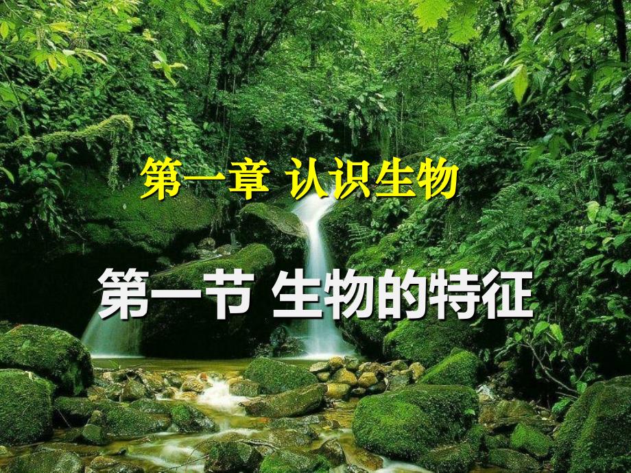 生物人教版七年级上册生物的特征.1.1（七上）生物的特征_第2页