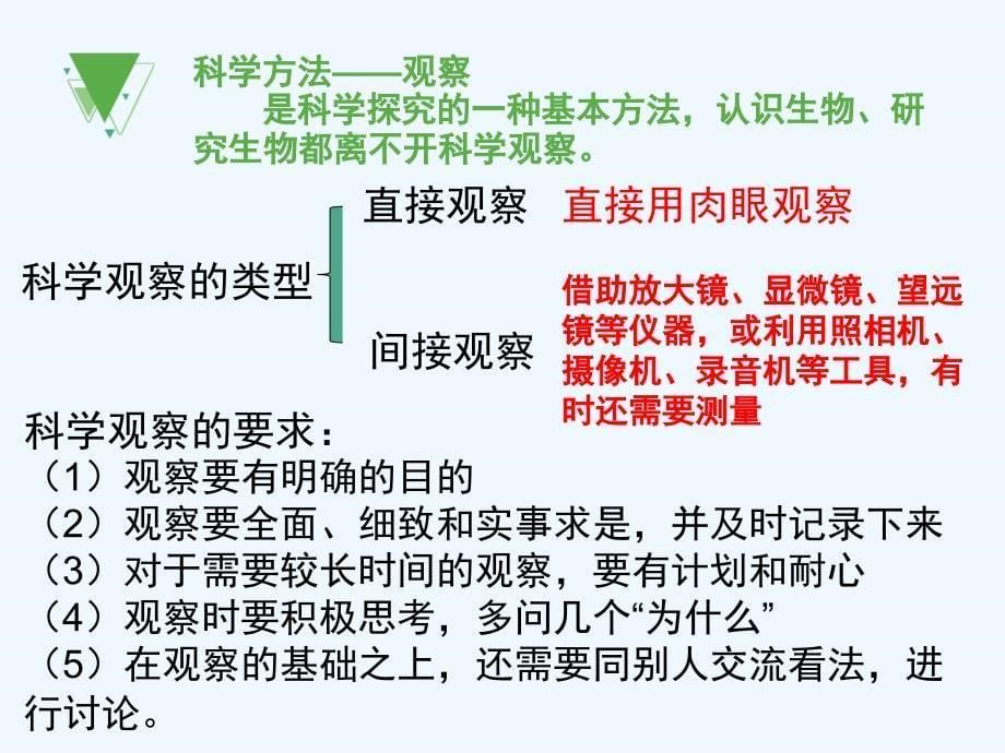 生物人教版七年级上册生物的特征.1.1（七上）生物的特征_第5页