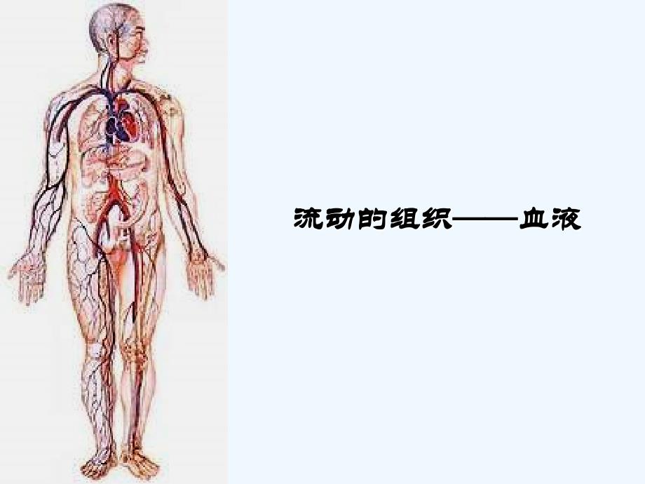 生物人教版七年级下册流动的组织——血液教学课件_第1页