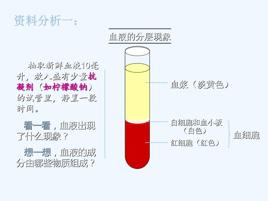 生物人教版七年级下册第一节流动的组织-血液_第4页