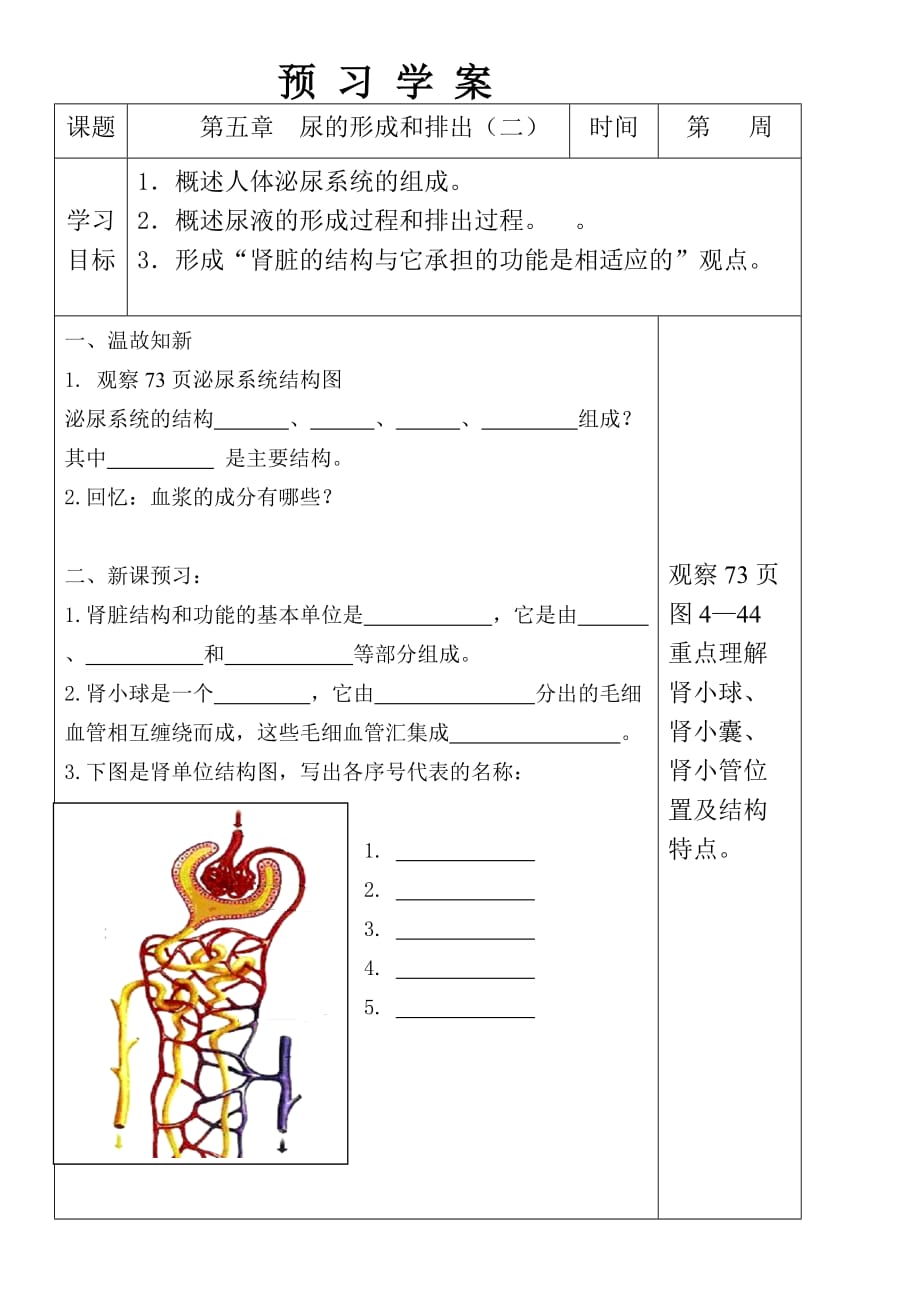 生物人教版七年级下册第五章 人体内废物的排出 预习学案_第1页