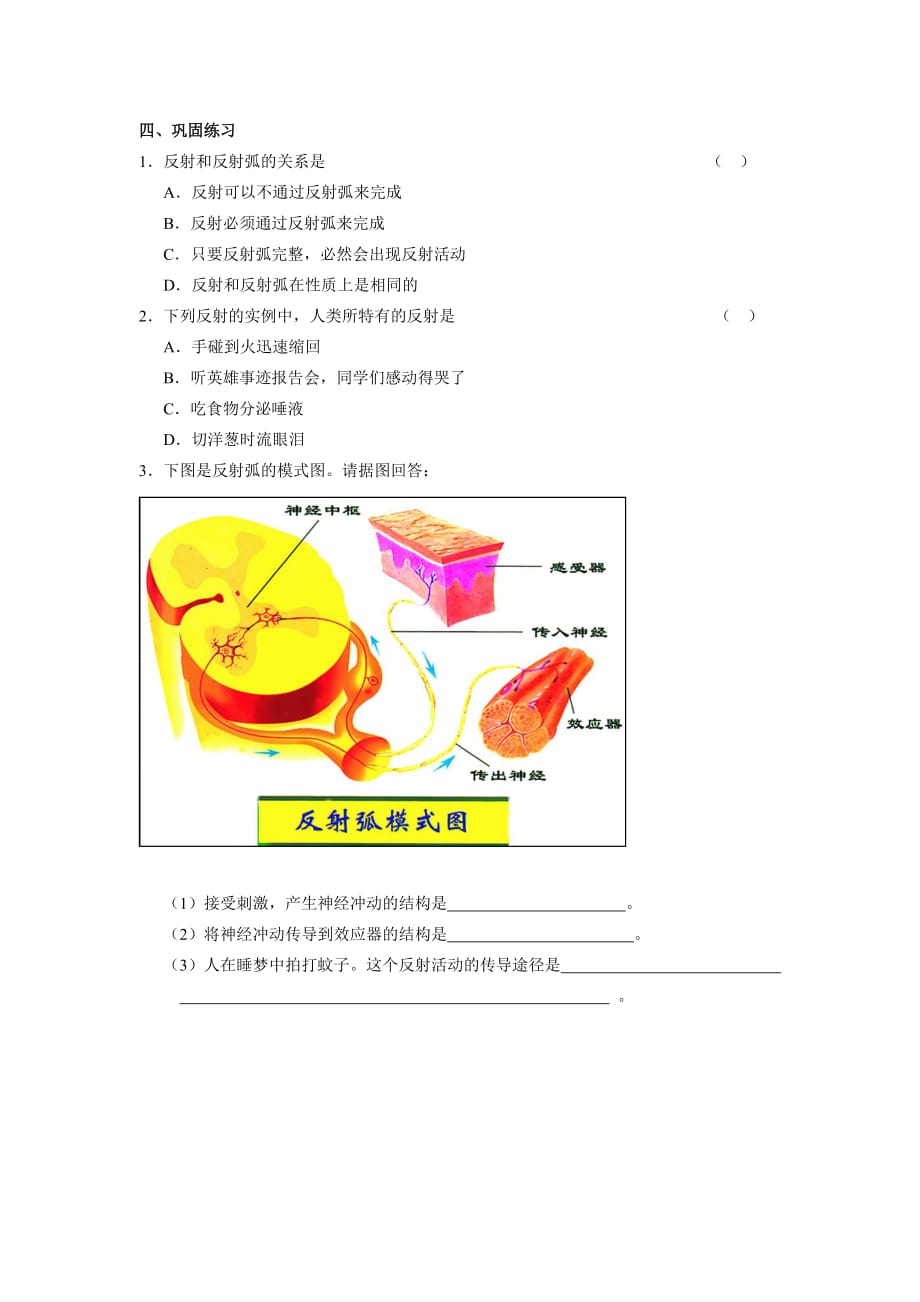 生物人教版七年级下册神经调节(学案)_第2页