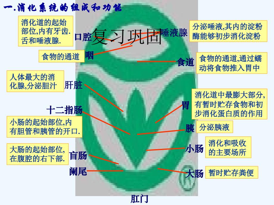 生物人教版七年级下册第三节 合理营养与食品安全课件_第1页