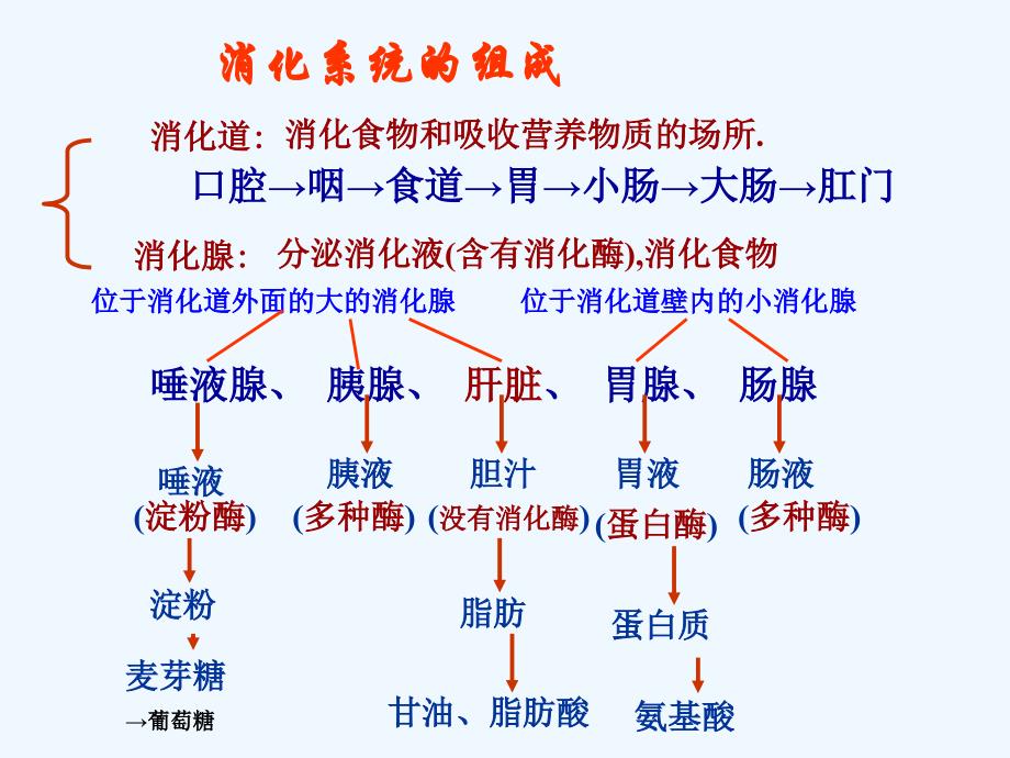 生物人教版七年级下册第三节 合理营养与食品安全课件_第2页