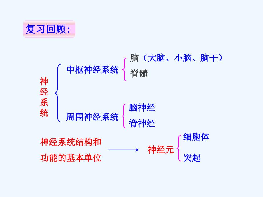 生物人教版七年级下册神经调节的基本方式.6.3 神经调节的基本方式2_第1页