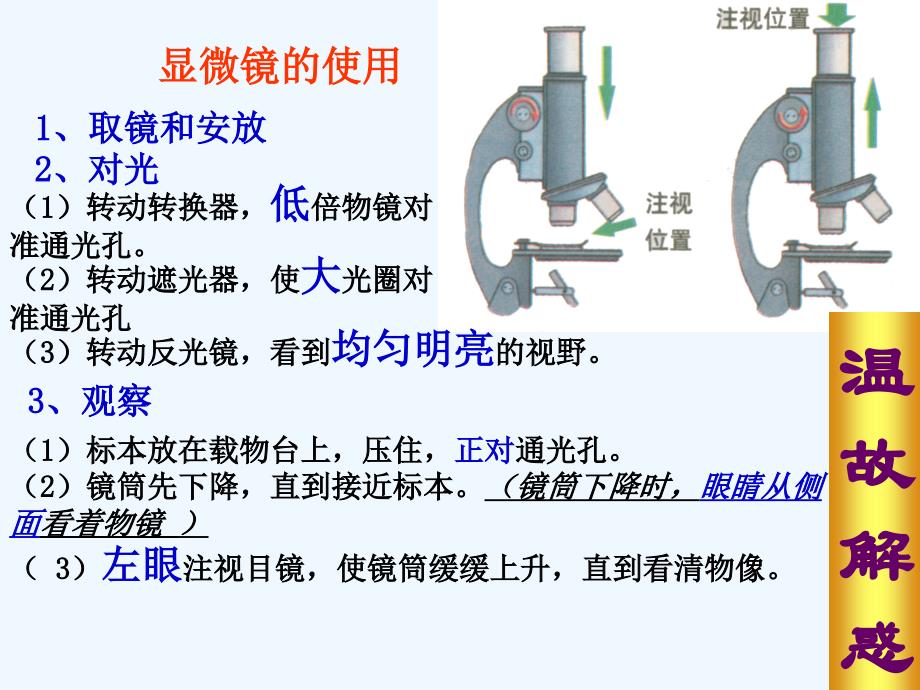 生物人教版七年级上册赤湾学校--秦丽--《植物细胞》课件_第2页