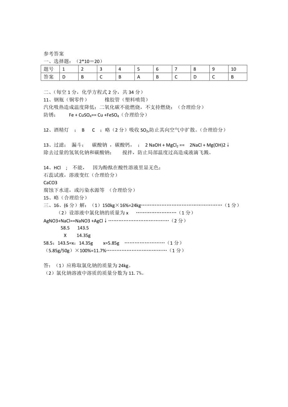 化学人教版九年级下册化学试题_第5页