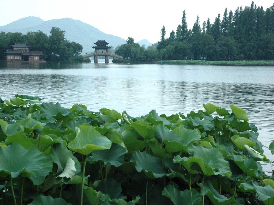 语文人教版一年级上册《小竹排江中游》课件_第1页