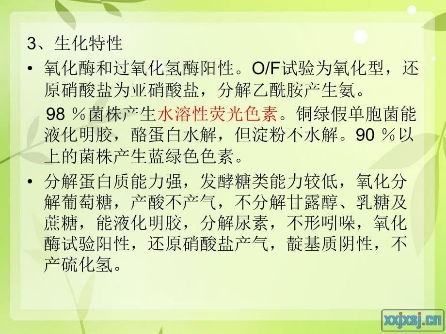 食品中铜绿假单胞菌检测资料_第5页