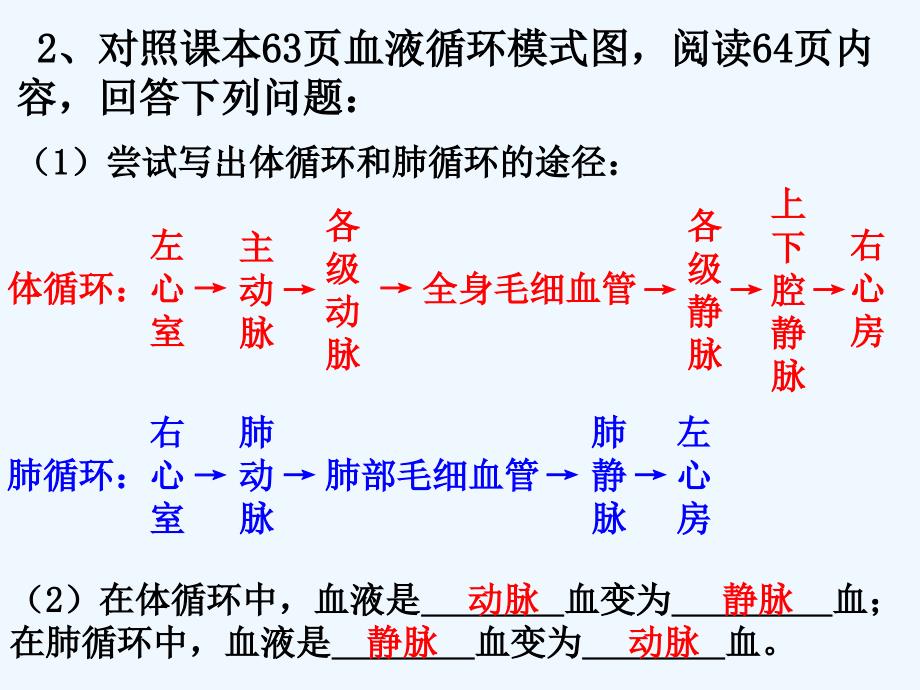 生物人教版七年级下册《血液循环的途径》课件_第2页