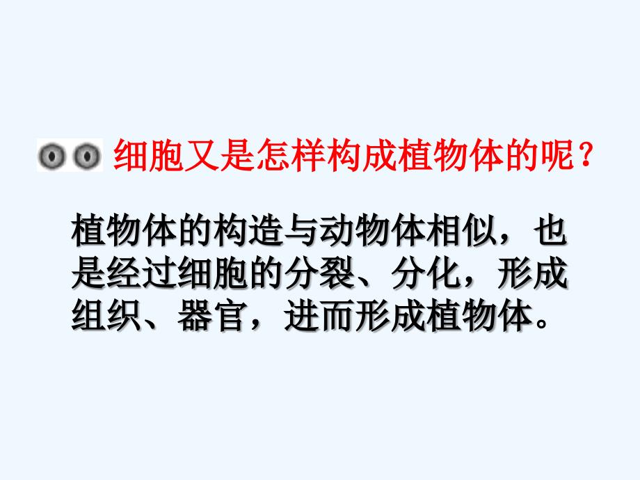 生物人教版七年级上册第二单元第二章细胞怎样构成生物体第三节植物体的结构层次_第2页