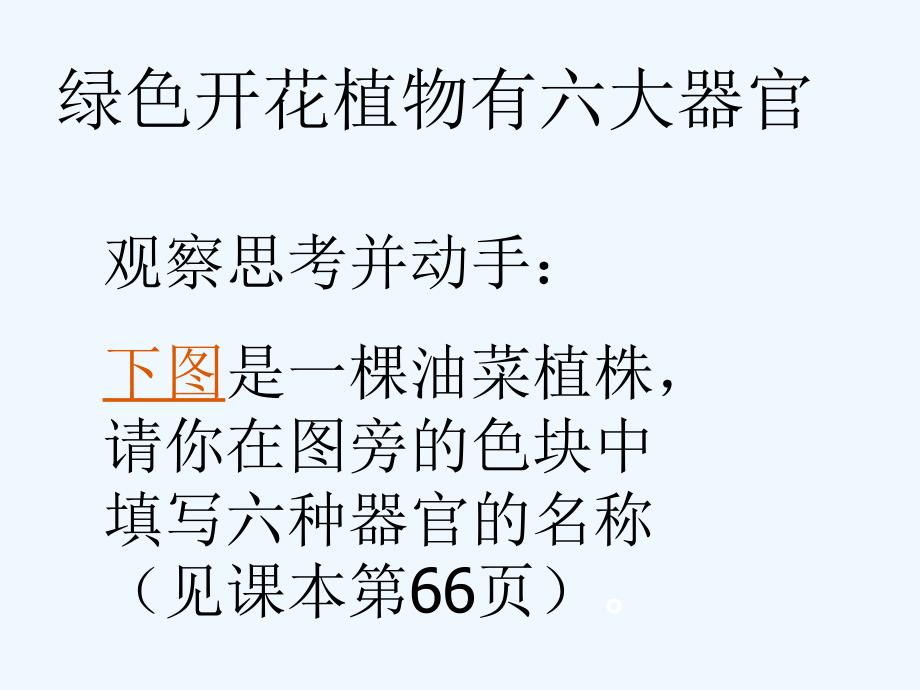 生物人教版七年级上册第二单元第二章细胞怎样构成生物体第三节植物体的结构层次_第3页