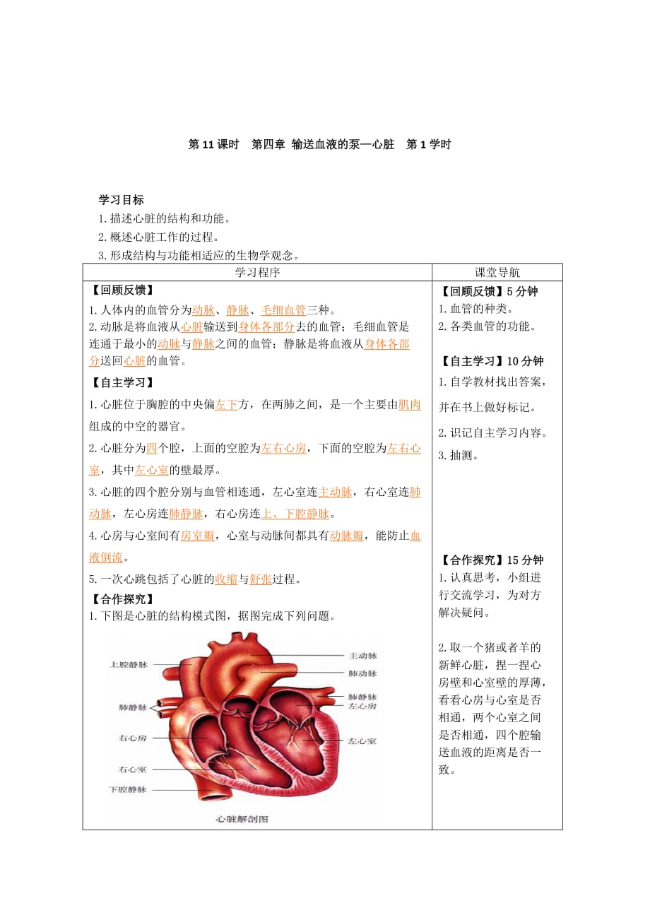 生物人教版七年级下册第11课时 第四章 输送血液的泵—心脏 第1学时_第1页