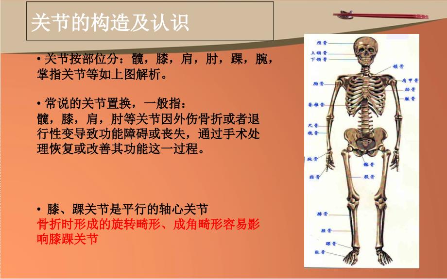 骨科植入物的分类及运用资料_第3页