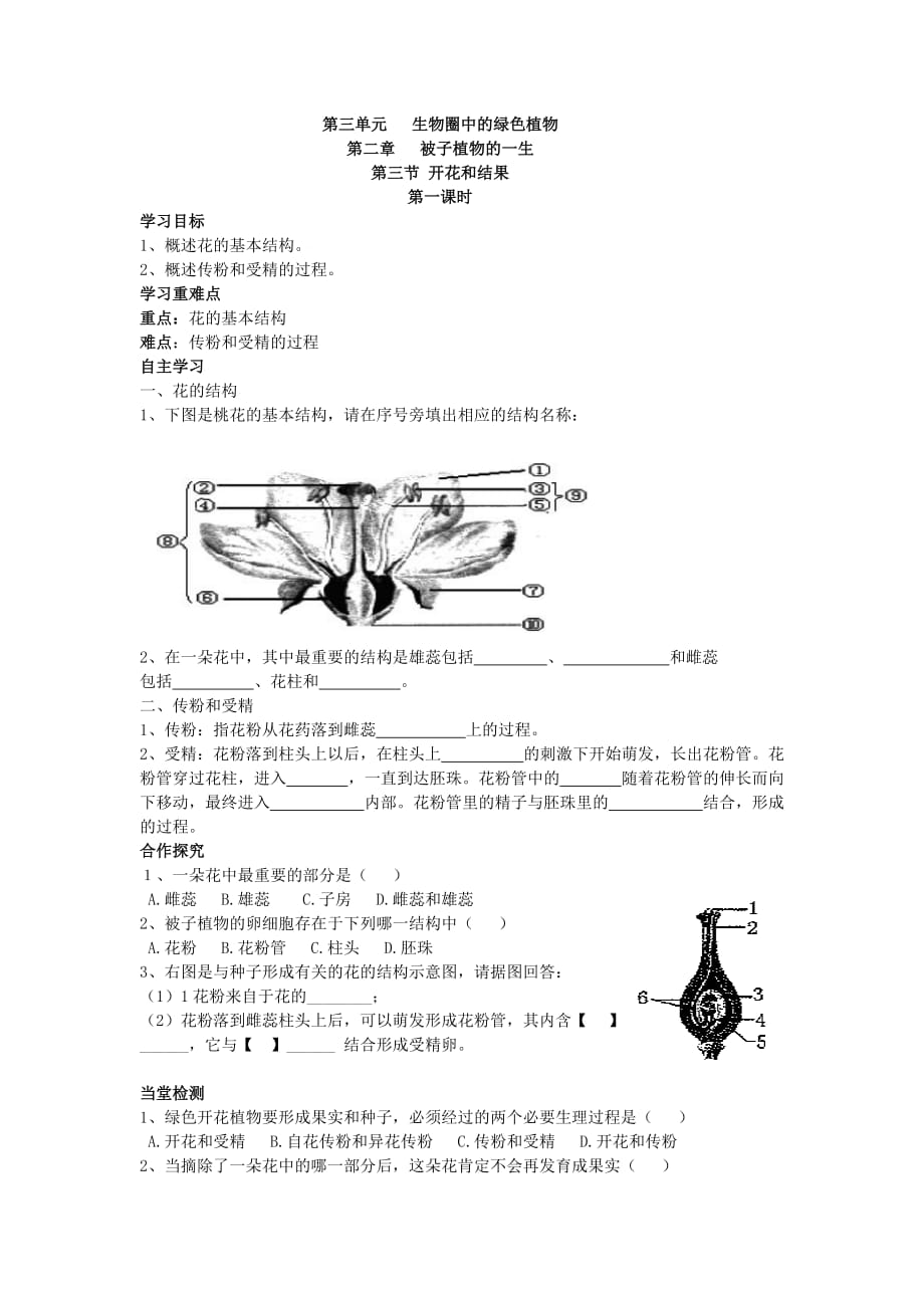 生物人教版七年级上册开花结构教学设计_第1页