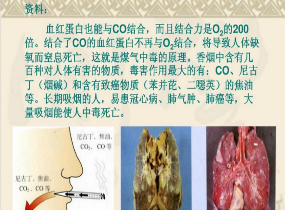 化学人教版九年级下册蛋白质的性质视频_第4页