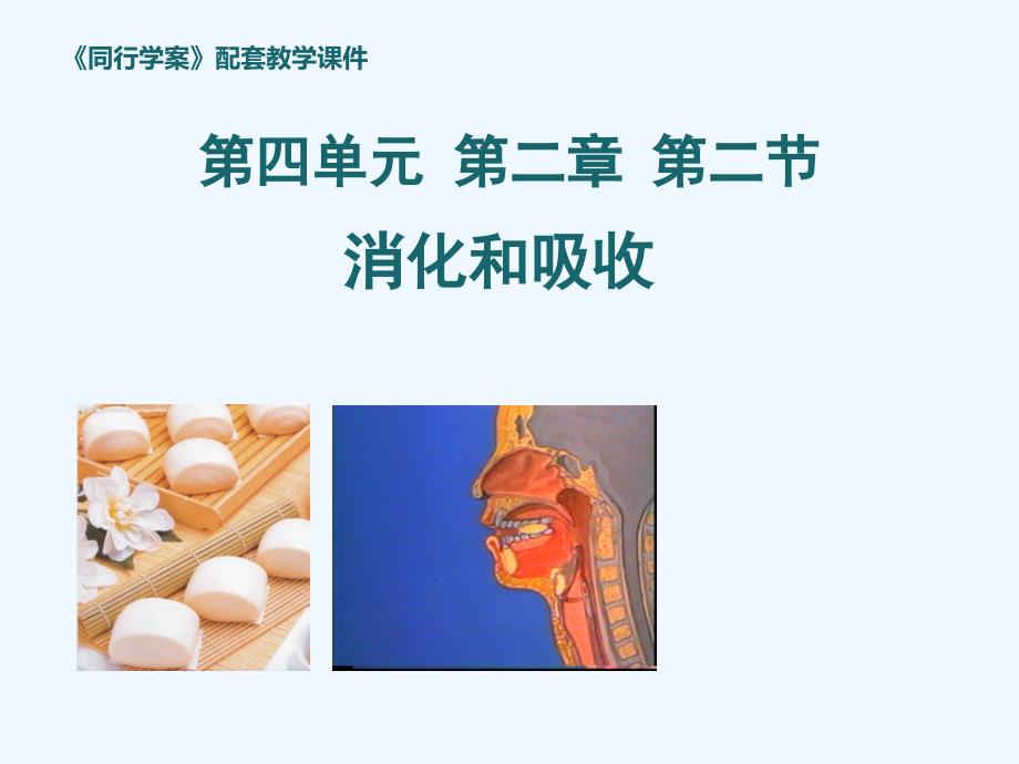 生物人教版七年级下册消化与吸收课件_第1页