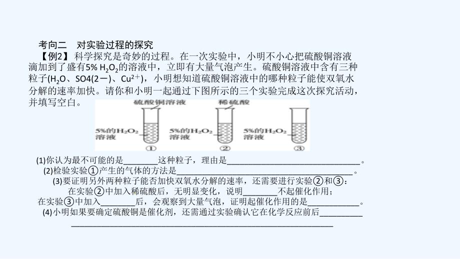 化学人教版九年级下册第二轮专题复习实验探究_第3页