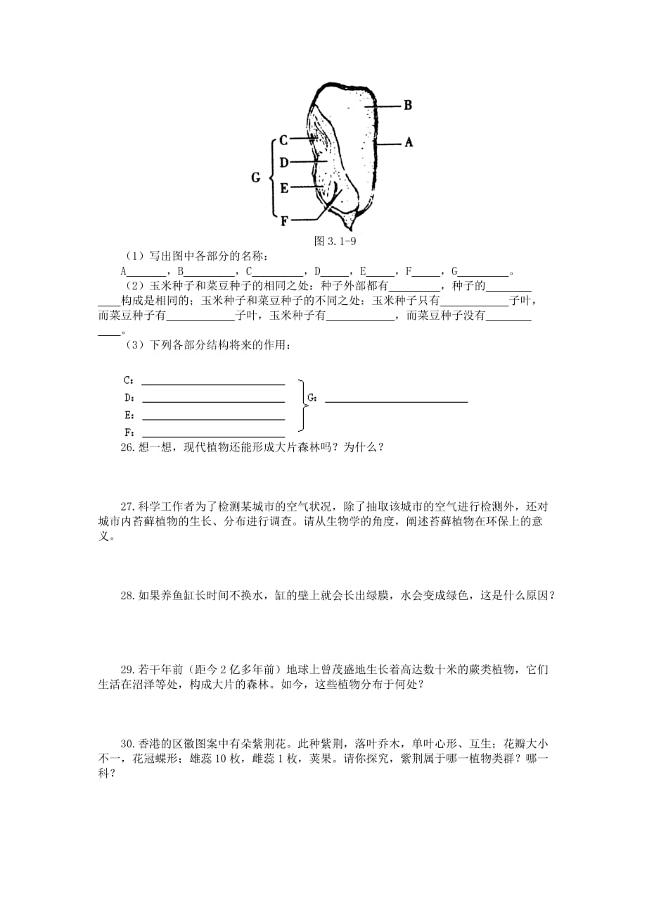 生物人教版七年级上册生物圈中有哪些绿色植物（复习课）_第4页