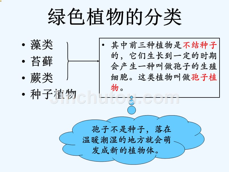 生物人教版七年级上册藻类植物苔藓植物和蕨类植物_第3页