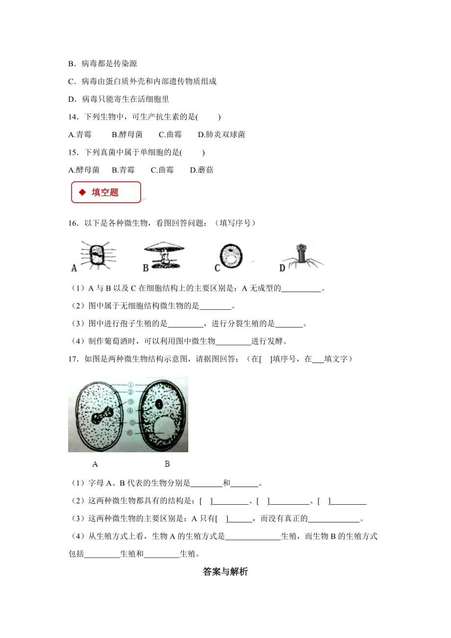 【同步练习】《神奇的微生物》（苏教）_第3页