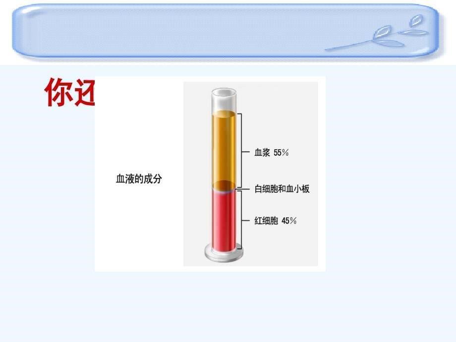 生物人教版七年级下册《输血和血型》_第5页