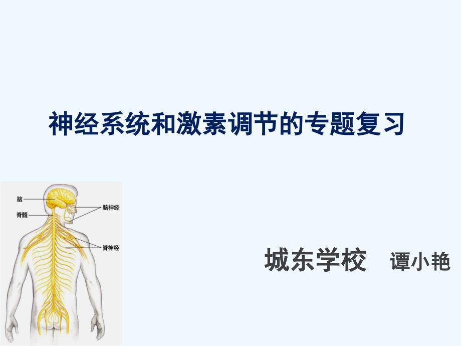 生物人教版七年级下册神经调节和激素调节的复习课_第1页