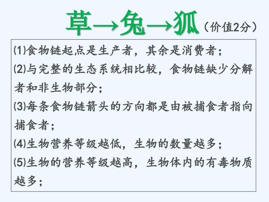 生物人教版七年级上册生物与环境组成生态系统（第二课时）.生态系统（2）课件_第5页