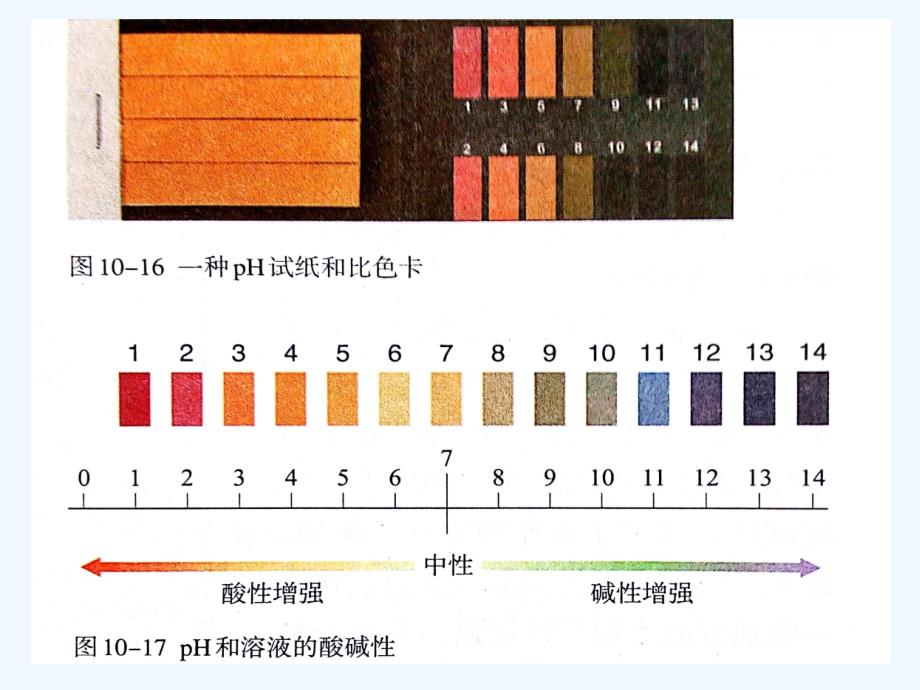 化学人教版九年级下册三、溶液酸碱度的表示方法——ph_第2页