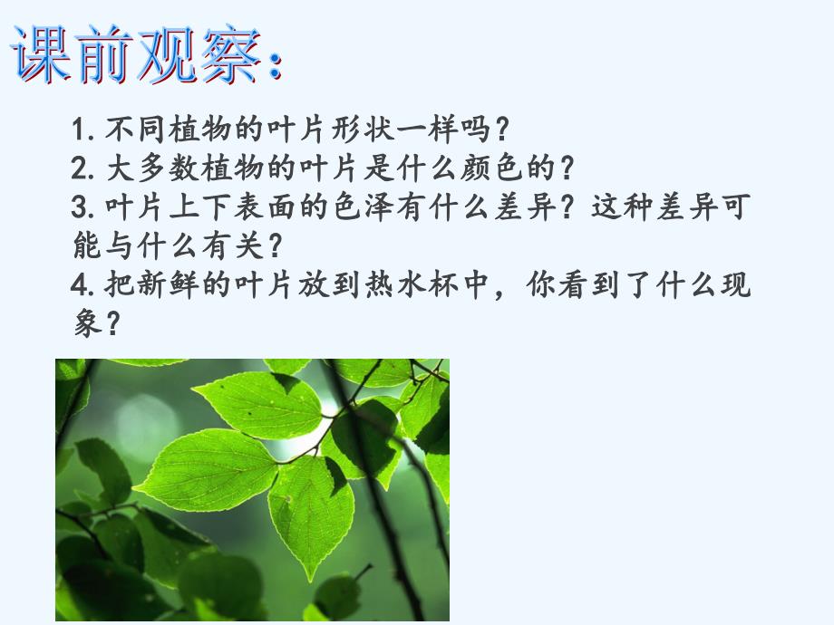 生物人教版七年级上册第三单元第三章绿色植物与生物圈的水循环——叶片的结构_第4页