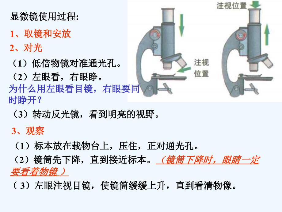 生物人教版七年级上册练习使用显微镜.eku.cc]_第3页