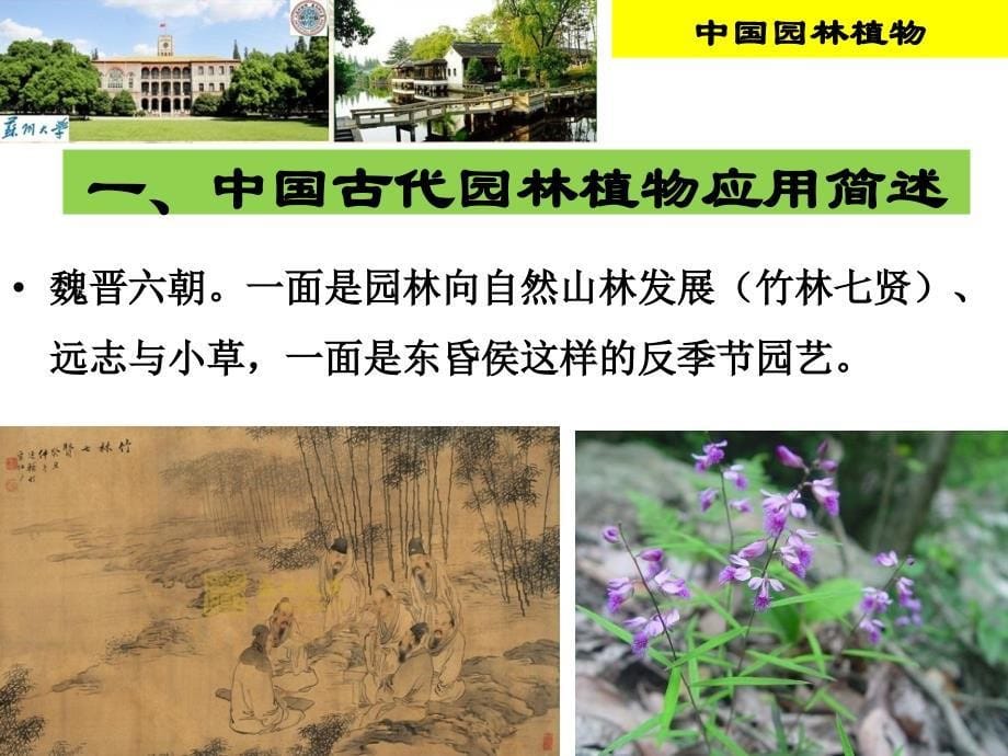 中国园林植物配置文化分析_第5页