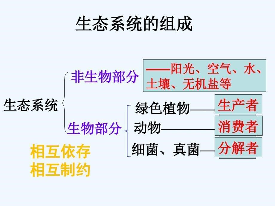 生物人教版七年级上册生物与环境组成生态系统.ppt.2生物与环境组成生态系统_第5页