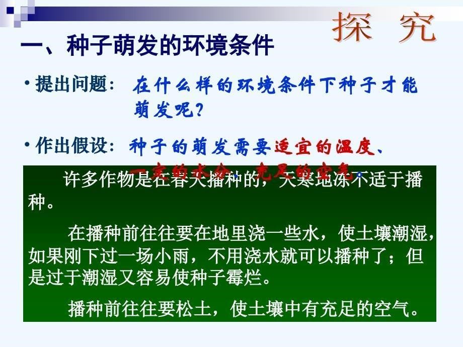 生物人教版七年级上册种子的萌发（第一课时）_第5页