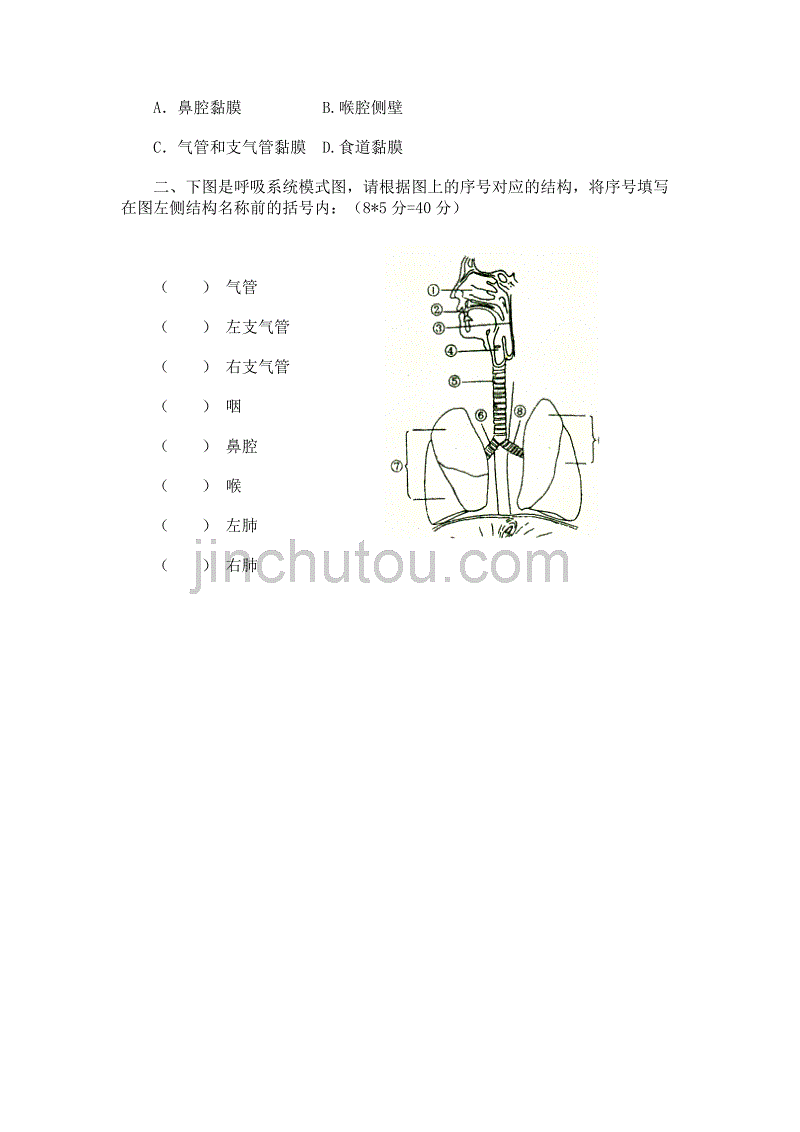 生物人教版七年级下册第一节呼吸道对空气的处理课后作业_第2页