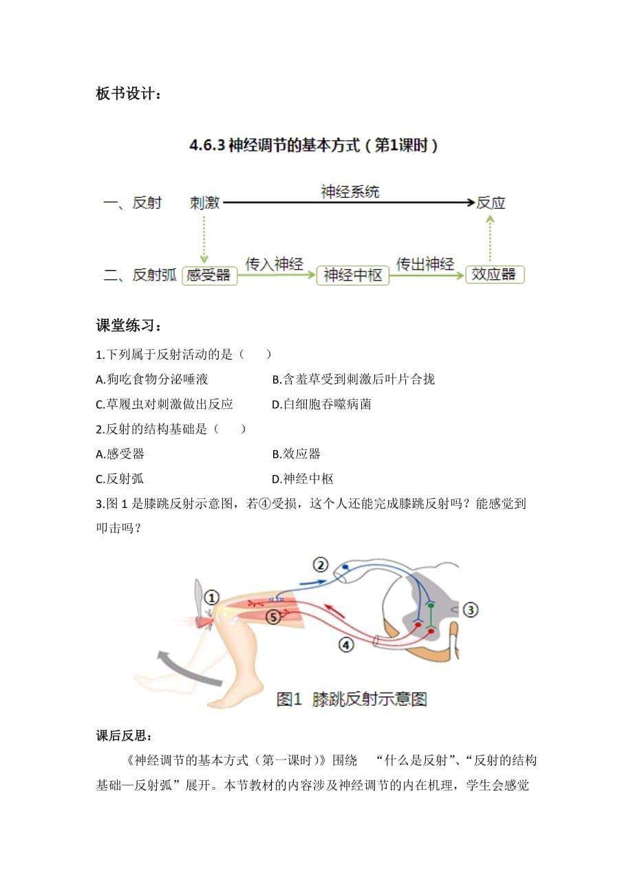 生物人教版七年级下册神经调节的基本方式第一课时_第5页