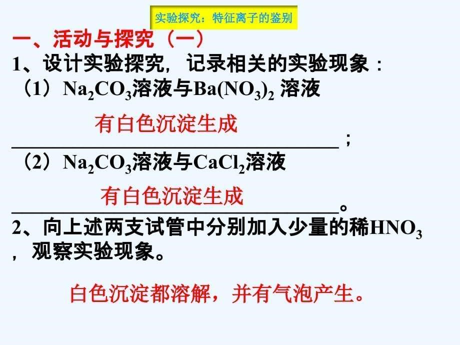 化学人教版九年级下册实验探究：特征离子的鉴别2017_第5页