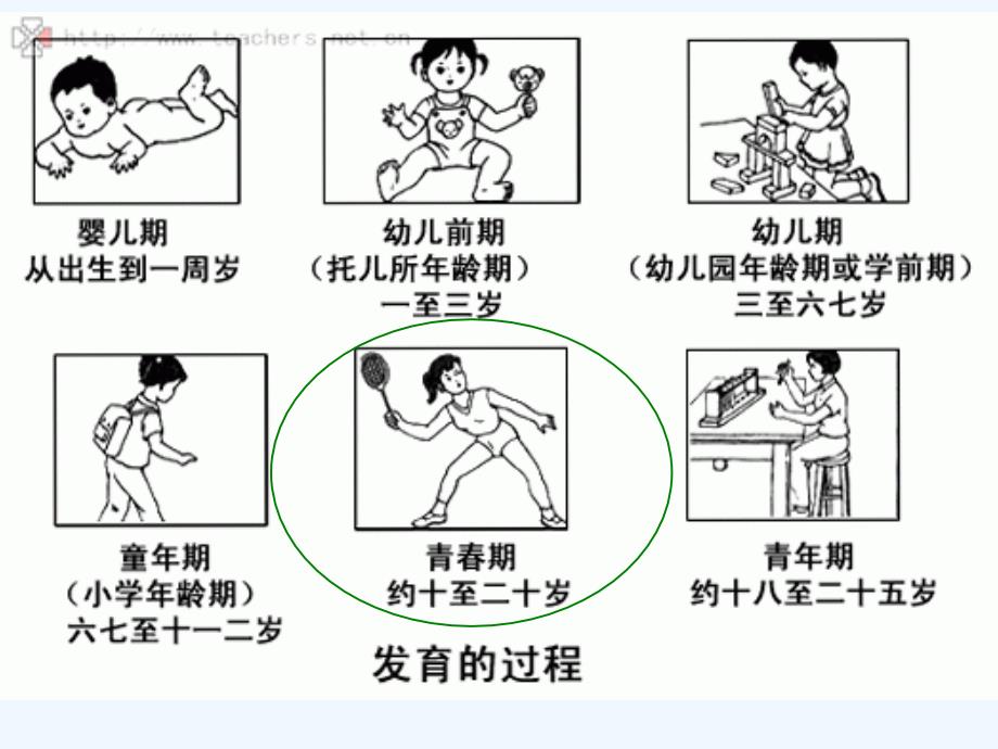 生物人教版七年级下册秦春期_第2页