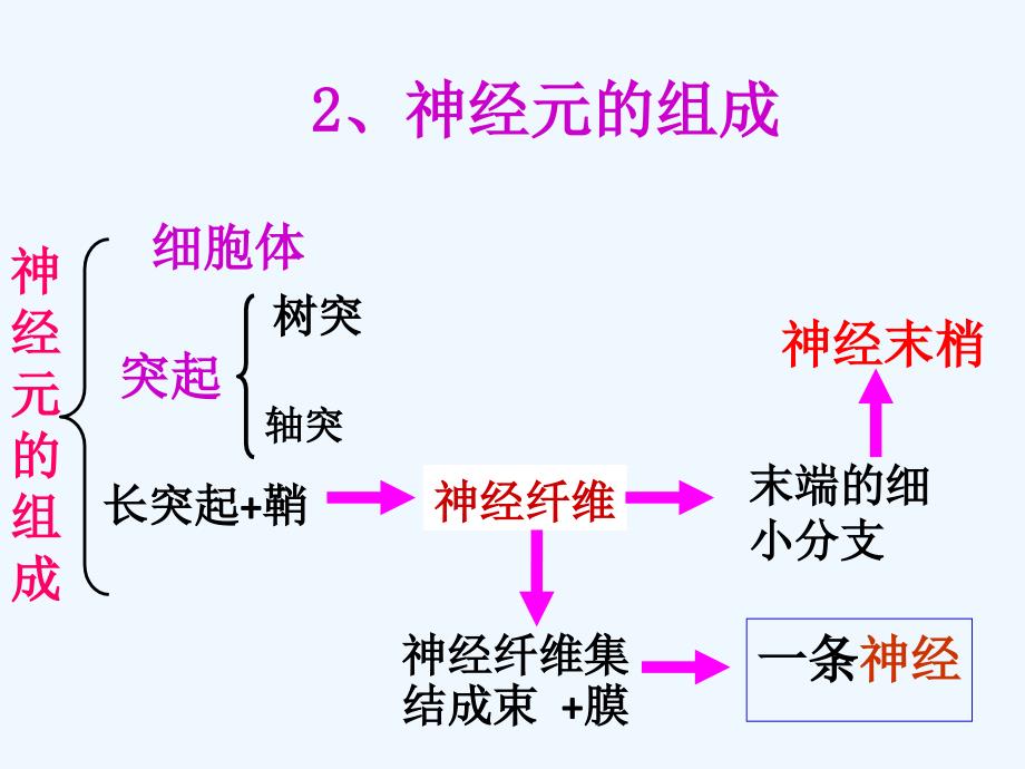 生物人教版七年级下册第二节 神经调节的基本方式_第3页